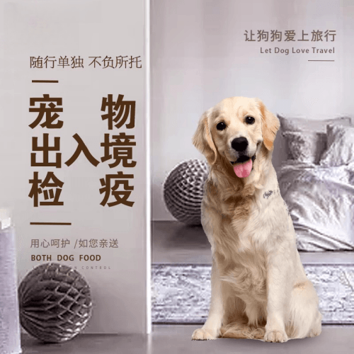 青岛宠物托运到哥伦比亚猫狗宠物入境规定和