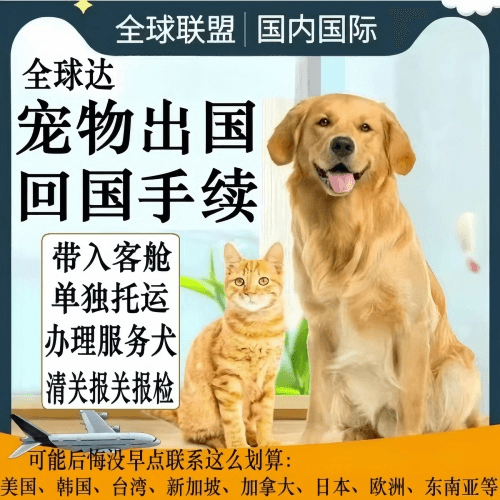 青岛宠物托运到柬埔寨宠物入境规定和要求