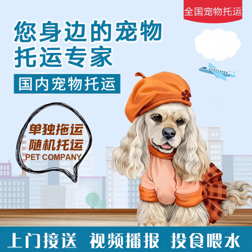 满财青岛宠物全球达宠物托运作为专业的宠物运输代理机构